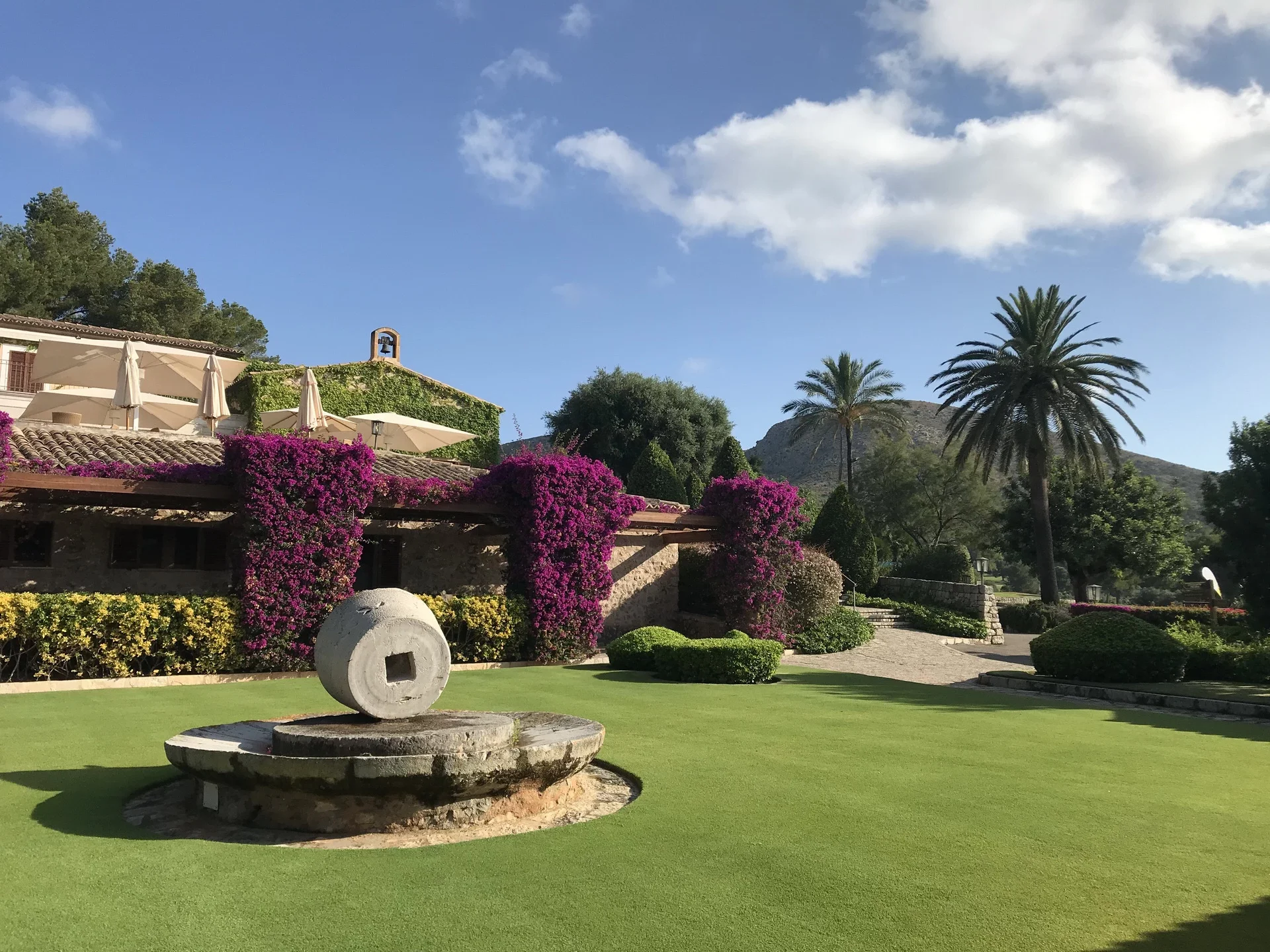 Foto-patio.webp