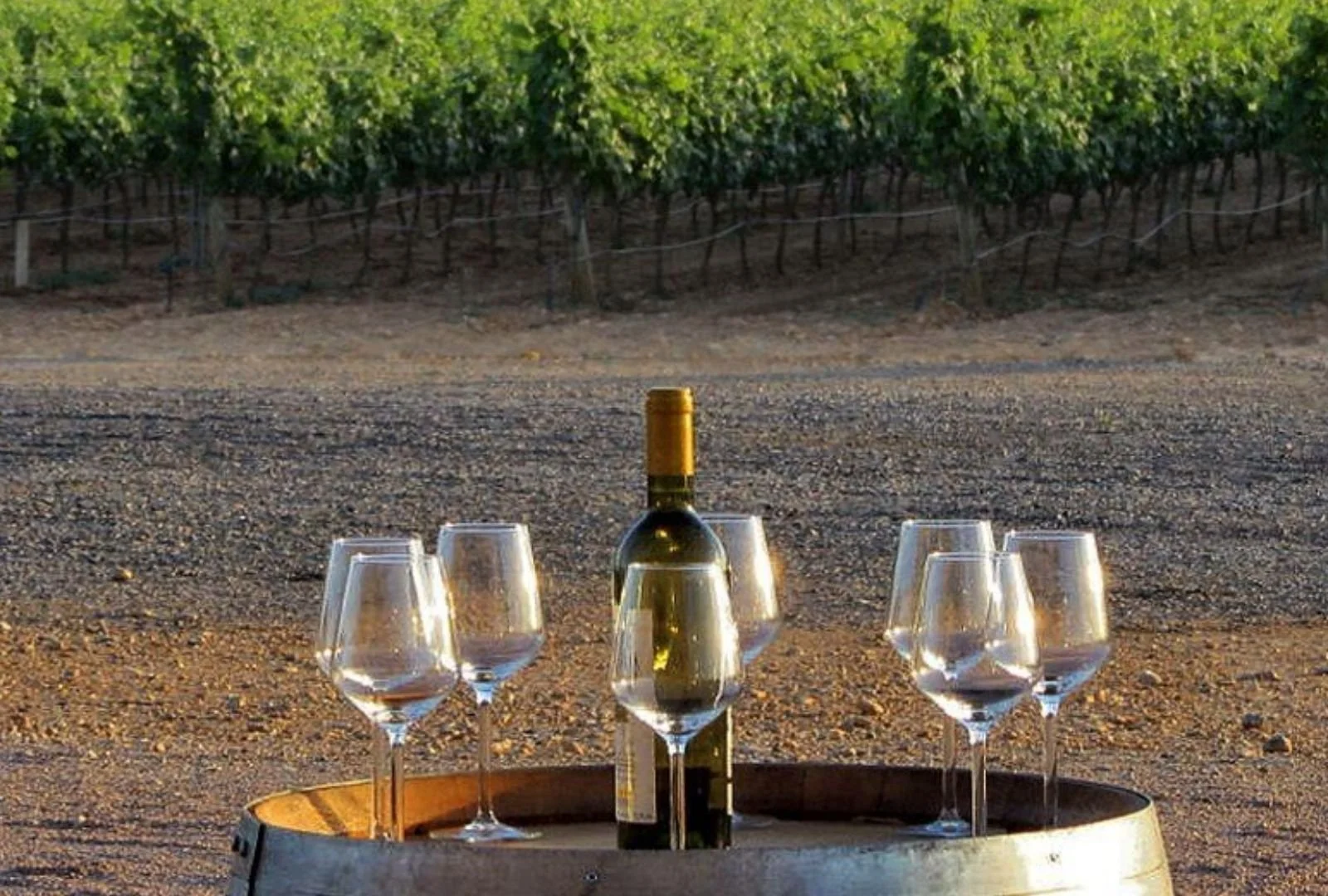 Bodegas de vino
