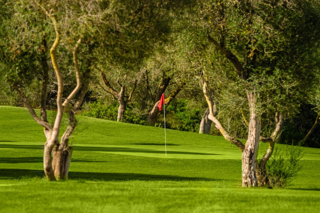 Campo de golf con césped bien cuidado, bandera roja en el hoyo y árboles a los lados.