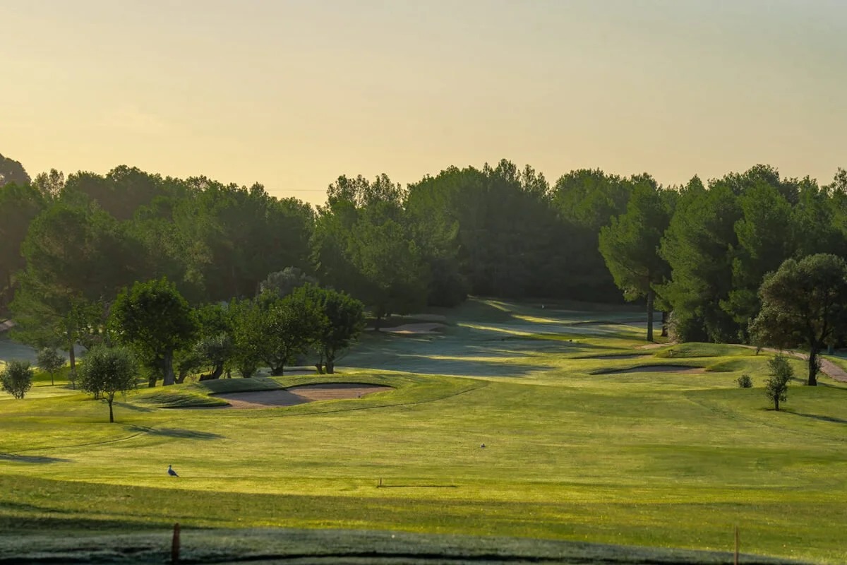 Campo de golf con árboles y búnkers, en un día soleado.