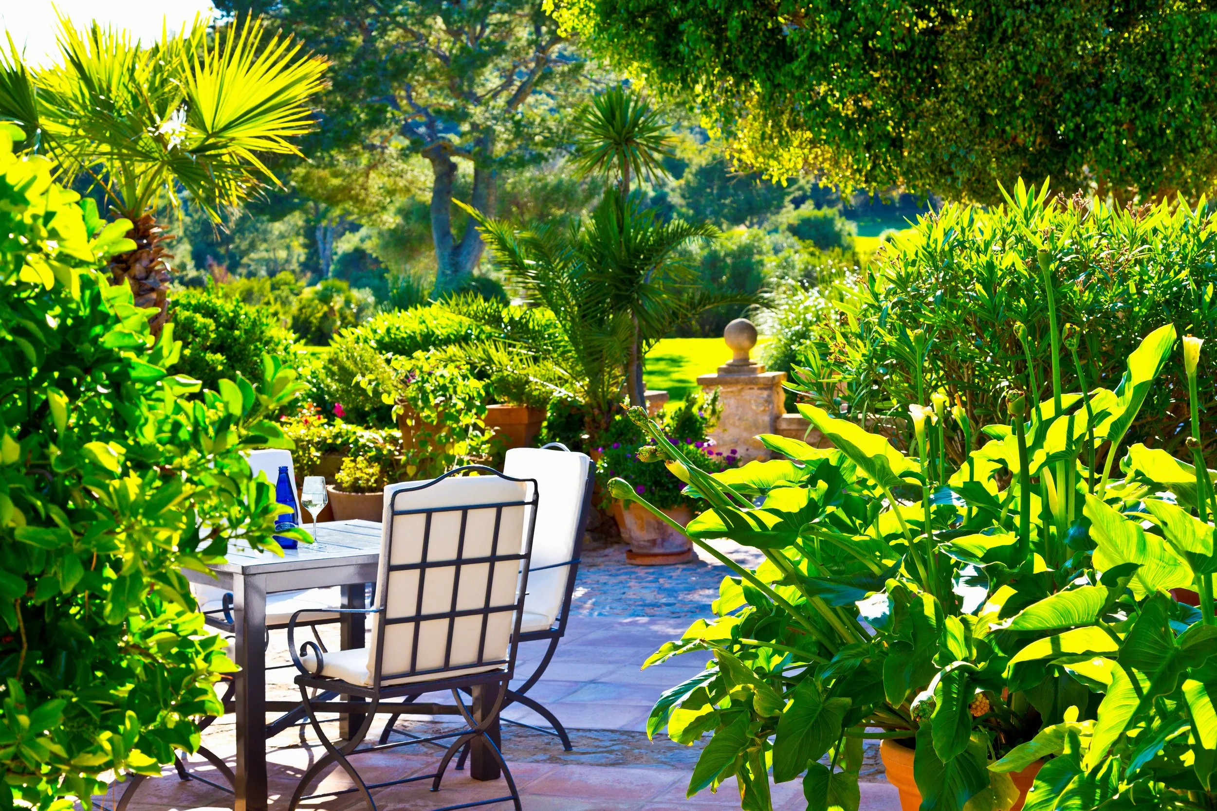 Jardín soleado con muebles de exterior y plantas verdes.