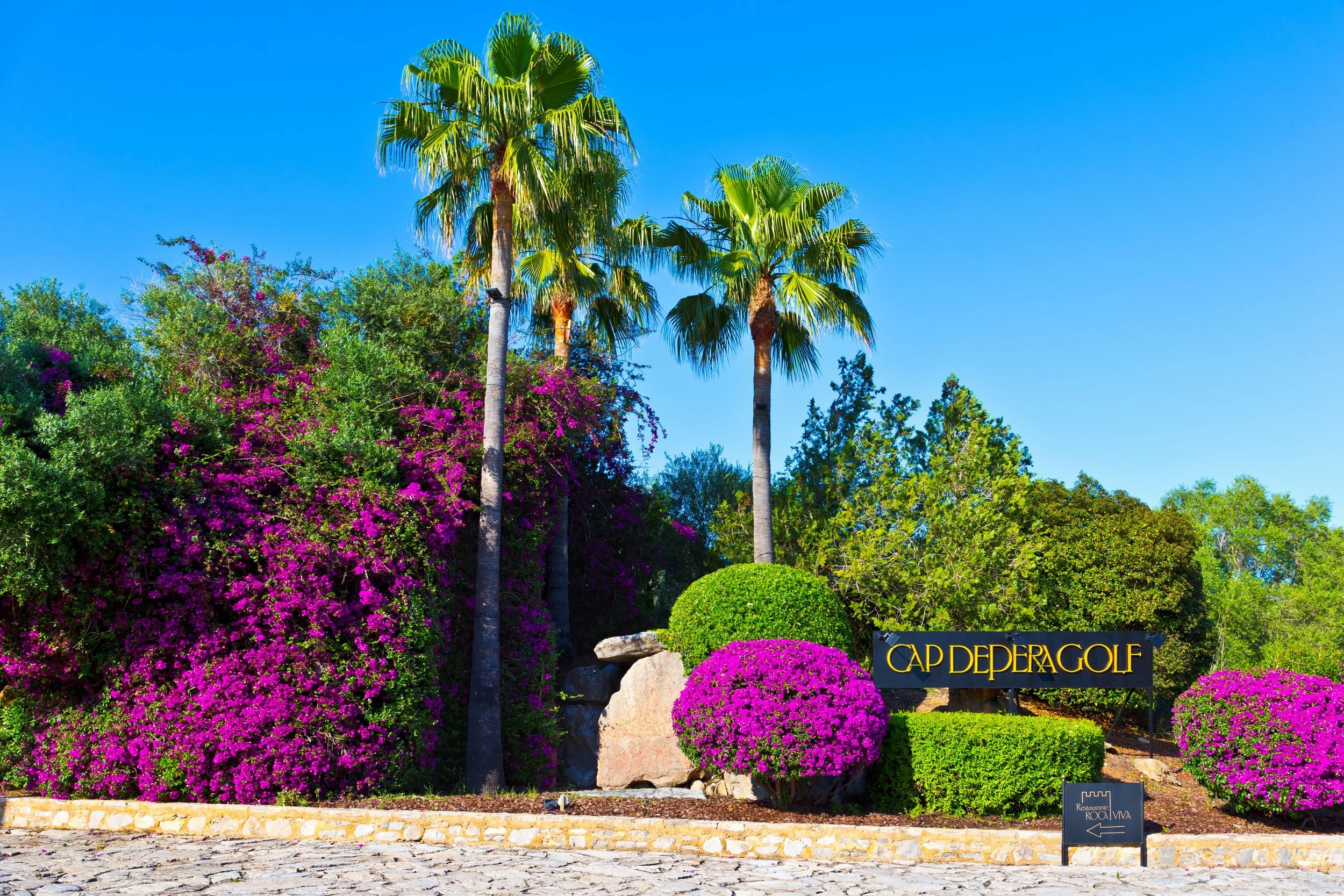 Jardín con palmeras, arbustos y flores moradas, en el fondo un cielo azul claro y un letrero que dice 'CAP DER GOLF' y una señal que indica la dirección a un restaurante.
