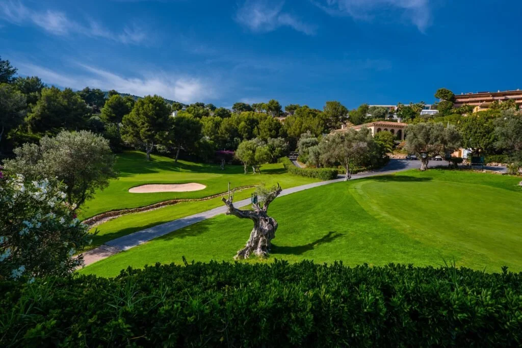 Campo de golf con árboles y césped verde, en un día soleado con cielo azul