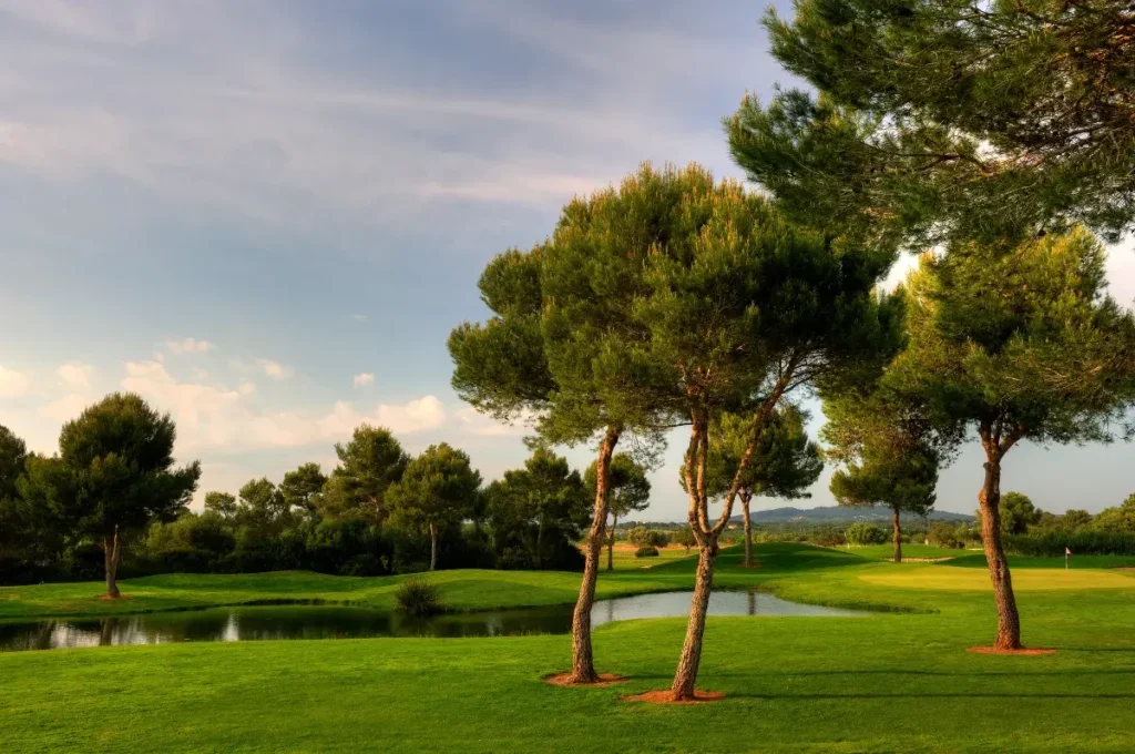 Un campo de golf con árboles verdes y un pequeño lago, cielo despejado con algunas nubes.
