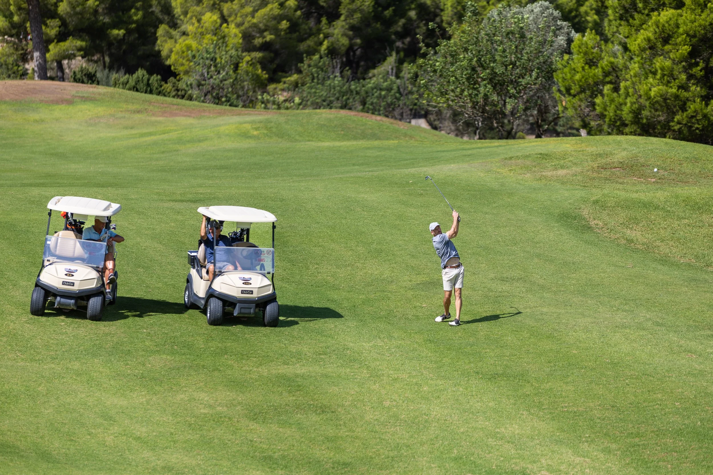 Persona jugando golf en el campo, con dos carritos de golf estacionados y un grupo de árboles en el fondo.