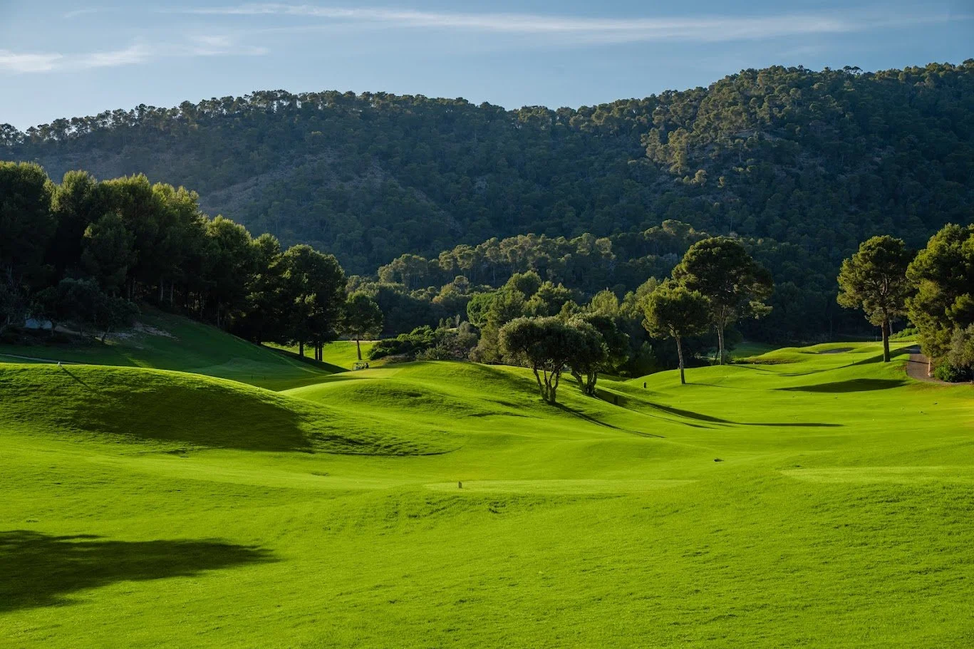 Campo de golf con césped verde, árboles dispersos y colinas, con montañas al fondo bajo un cielo claro y soleado.