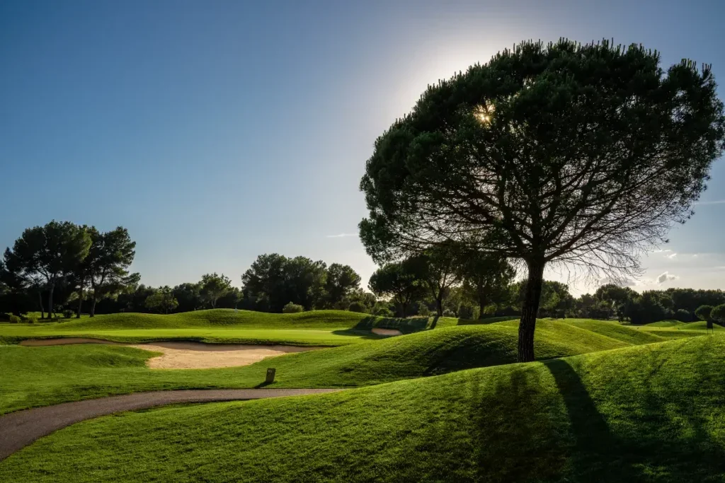 Campo de golf con árboles y césped bien cuidado, al atardecer