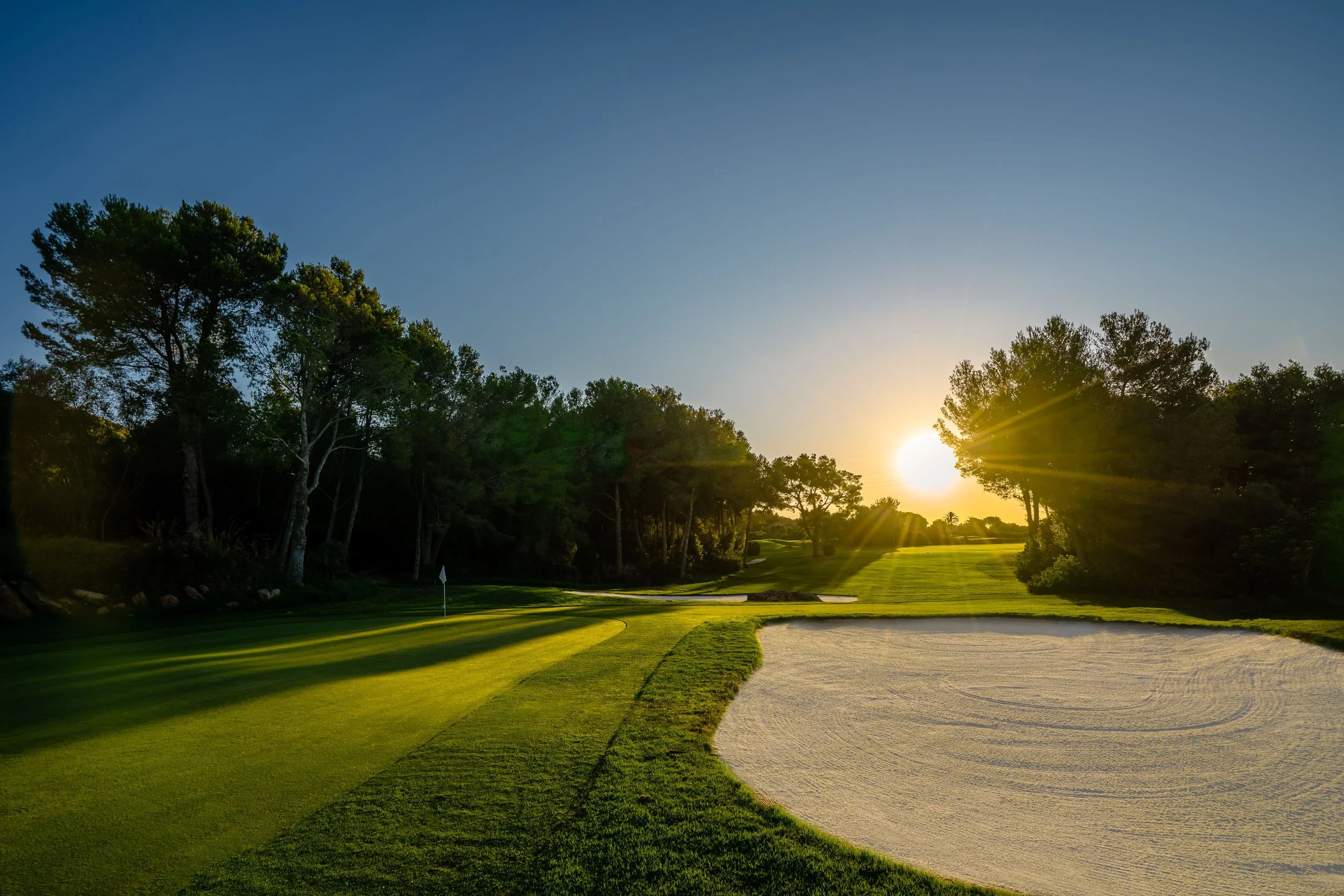 Amanecer en un campo de golf con árboles y área de arena.