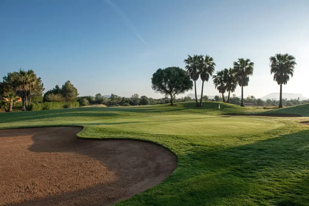 Campo de golf con área de arena, césped, y palmeras bajo cielo despejado.
