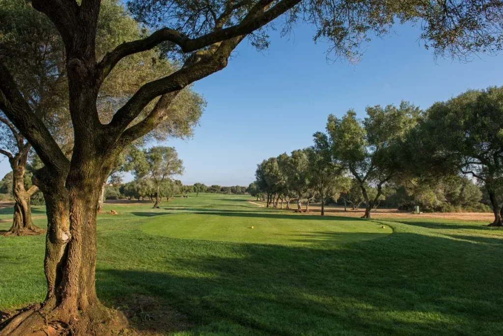 Campo de golf con árboles grandes, césped verde y un cielo despejado.