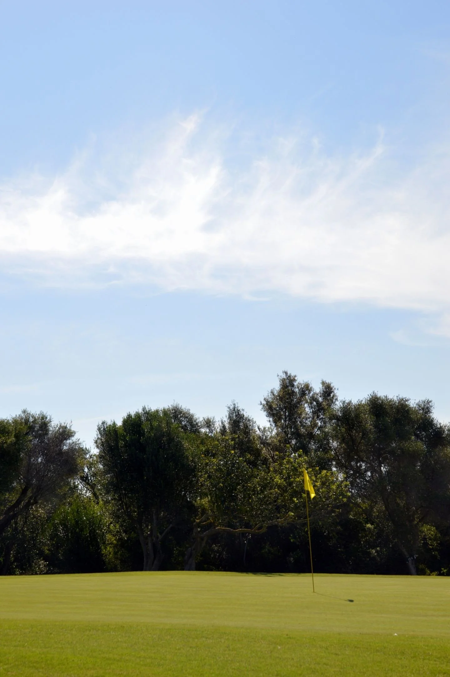 Campo de golf con césped y bandera amarilla en el green, árboles y cielo azul con nubes blancas.