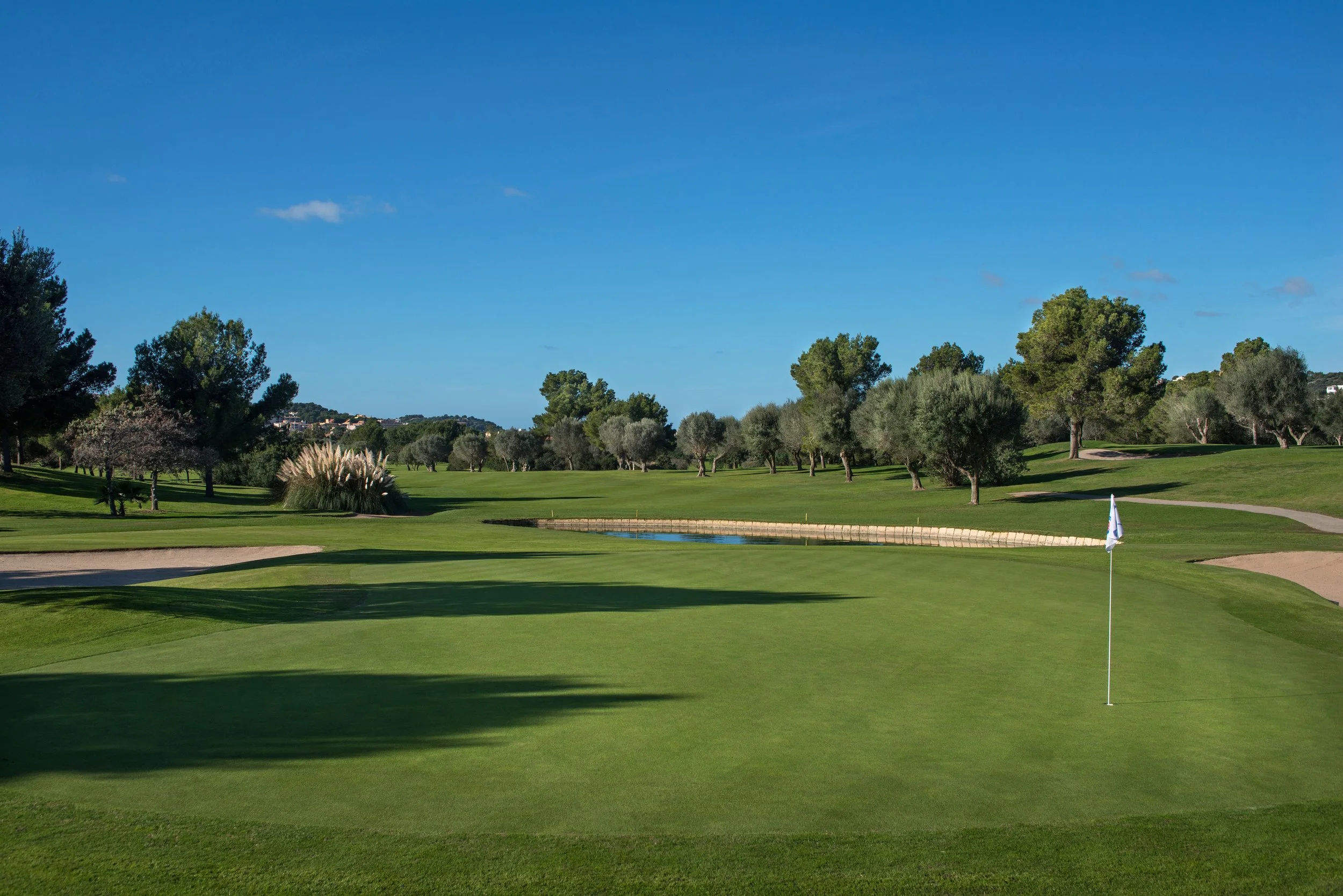 Vista de un campo de golf con césped bien cuidado, un hoyo con bandera, varios árboles y un cuerpo de agua pequeño bajo un cielo despejado.