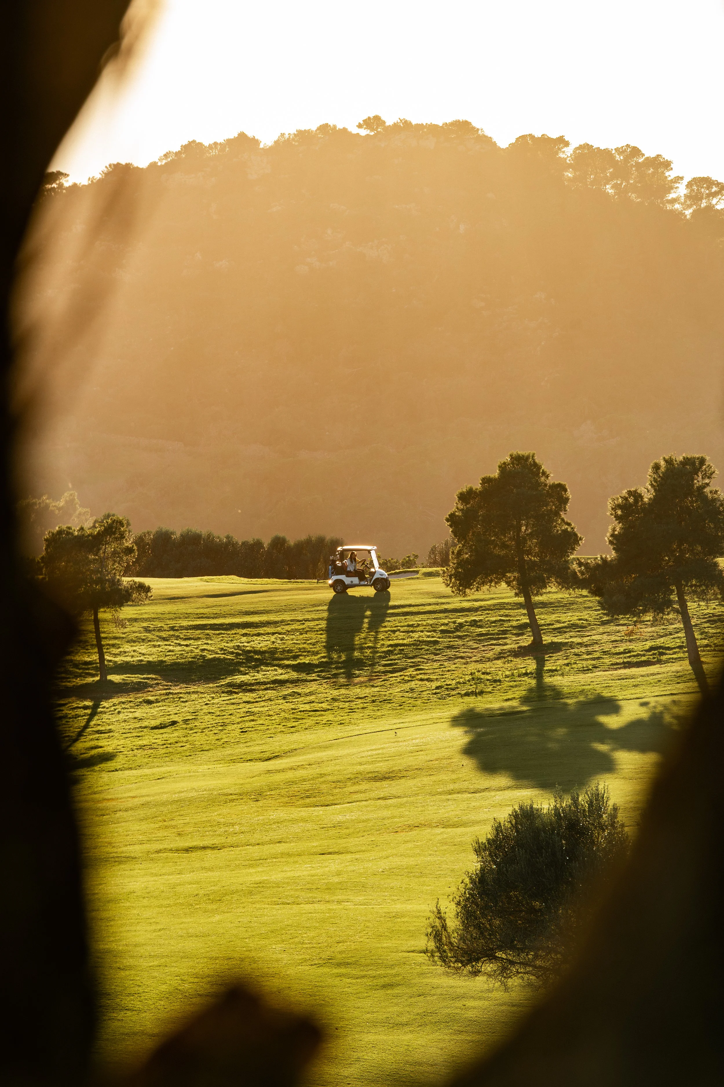 Escena de un campo de golf con un carrito de golf y árboles, visto a través de una abertura.