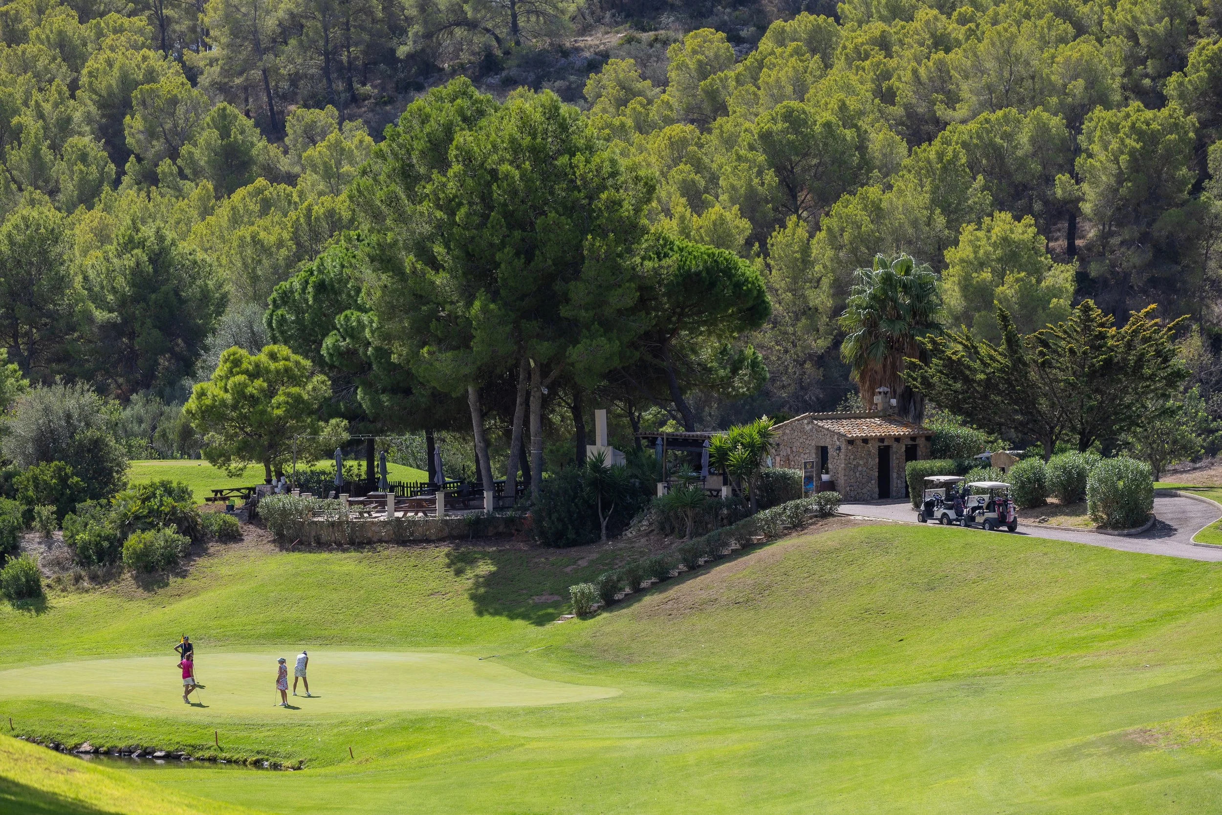 Cuatro personas jugando golf en un campo verde rodeado de árboles y una casa de piedra, con carritos de golf cercanos y una zona de descanso con mesas y sillas bajo árboles.