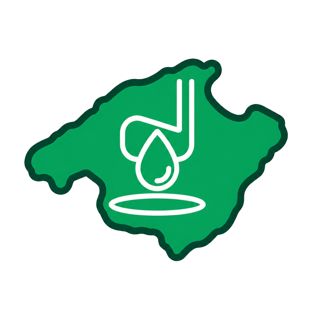 Icono de servicio de lavado de autos, con un mapa de Honduras en fondo verde, y símbolo de gota de agua y chorro de agua.