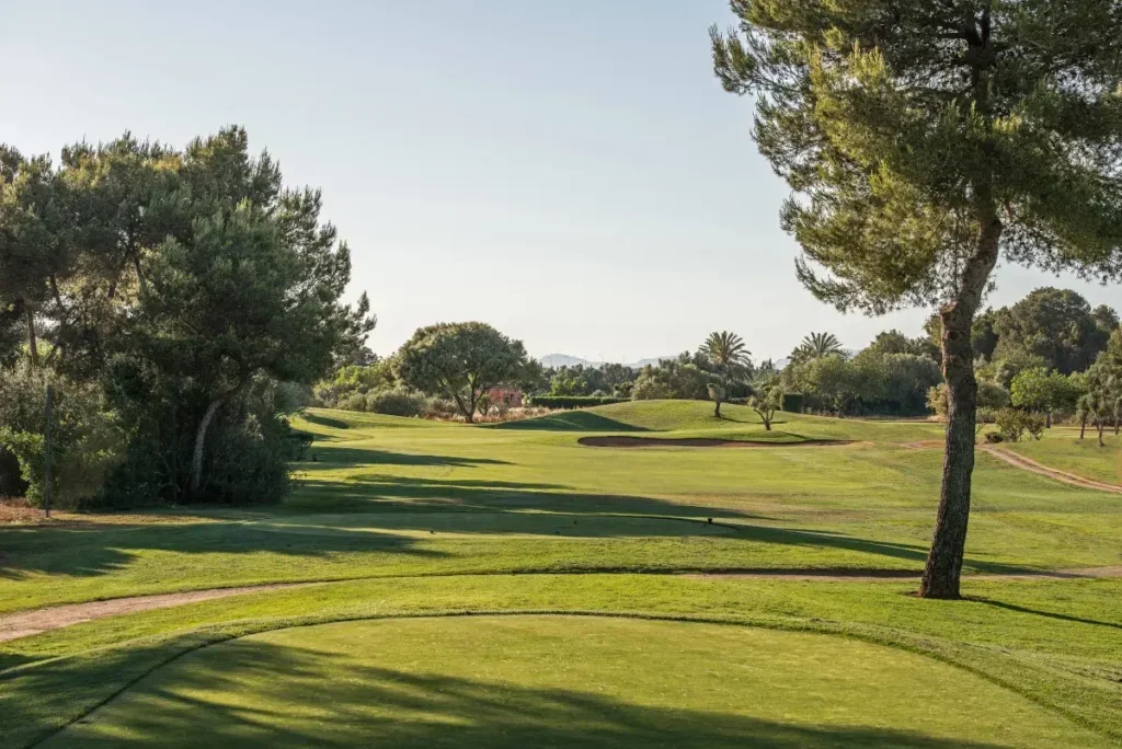 Campo de golf con árboles y senderos, bajo un cielo despejado.
