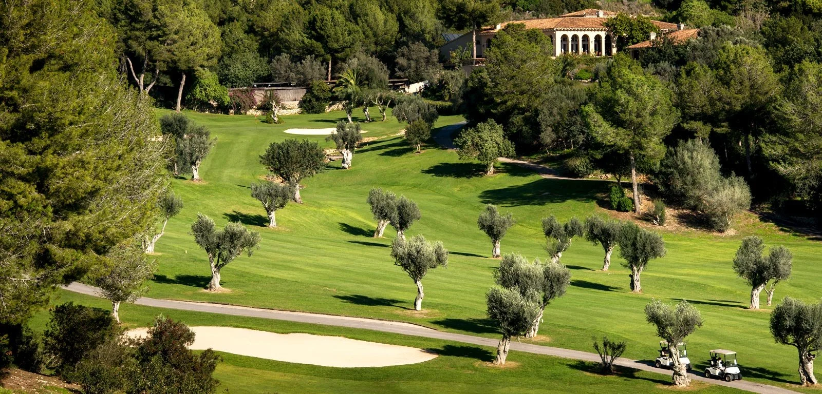 Vista de un campo de golf con árboles pequeños dispersos y caminos, rodeado de una vegetación frondosa y una casa grande en la colina.