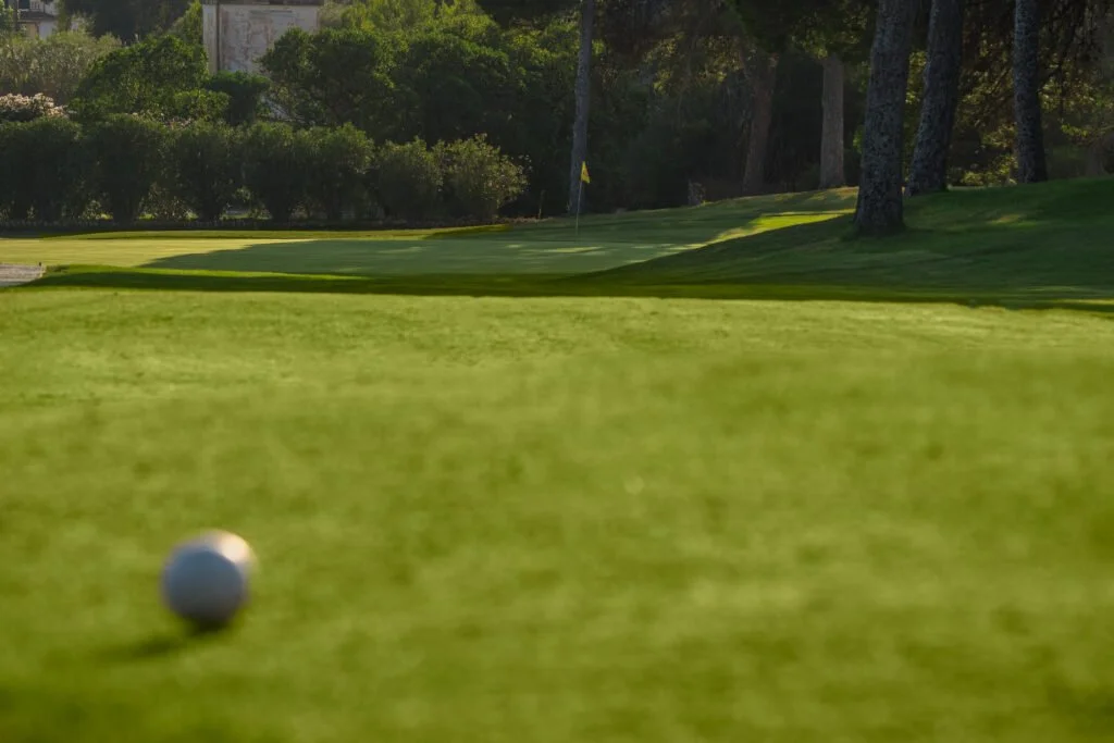 Vista de un campo de golf con una bola en primer plano, banderín en el hoyo y árboles en el fondo.