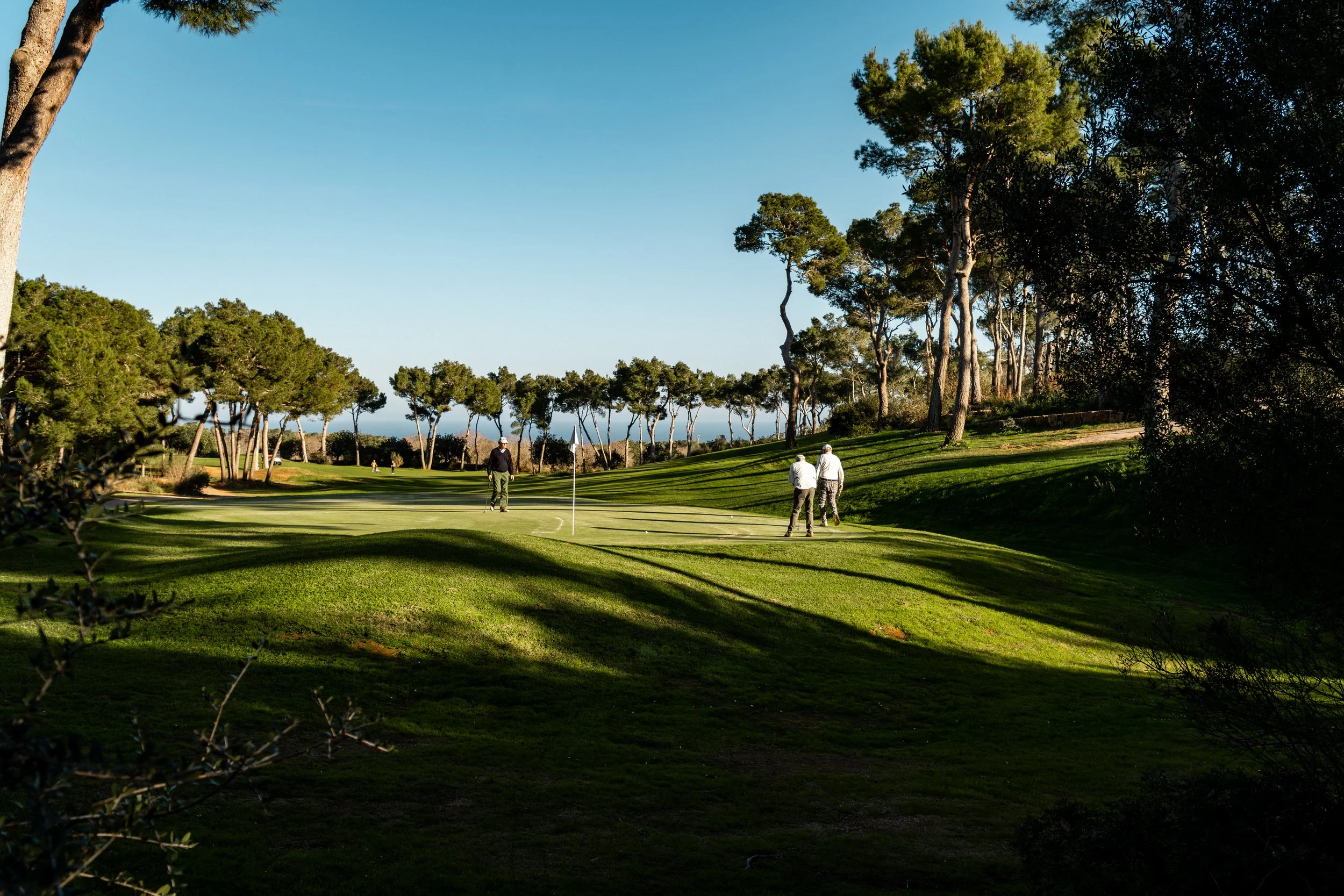 Jugadores de golf en un campo con árboles y césped bien cuidado en un día soleado.