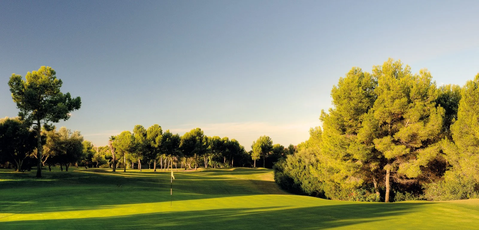 Campo de golf con árboles y cielo despejado