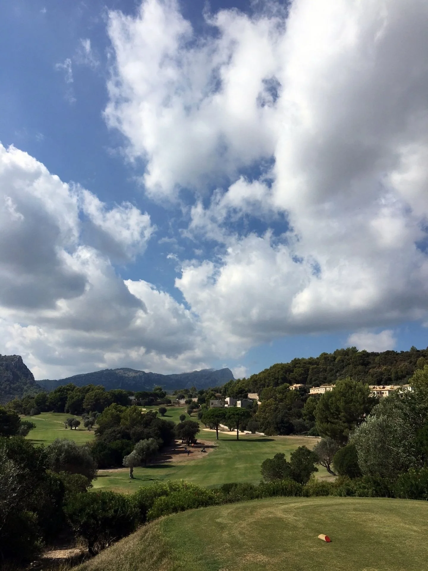 Campo de golf con césped verde y árboles dispersos bajo un cielo nublado.