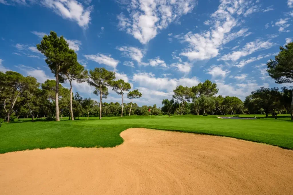 Campo de golf con césped verde, árboles de pino, búnker de arena y cielo azul con nubes.