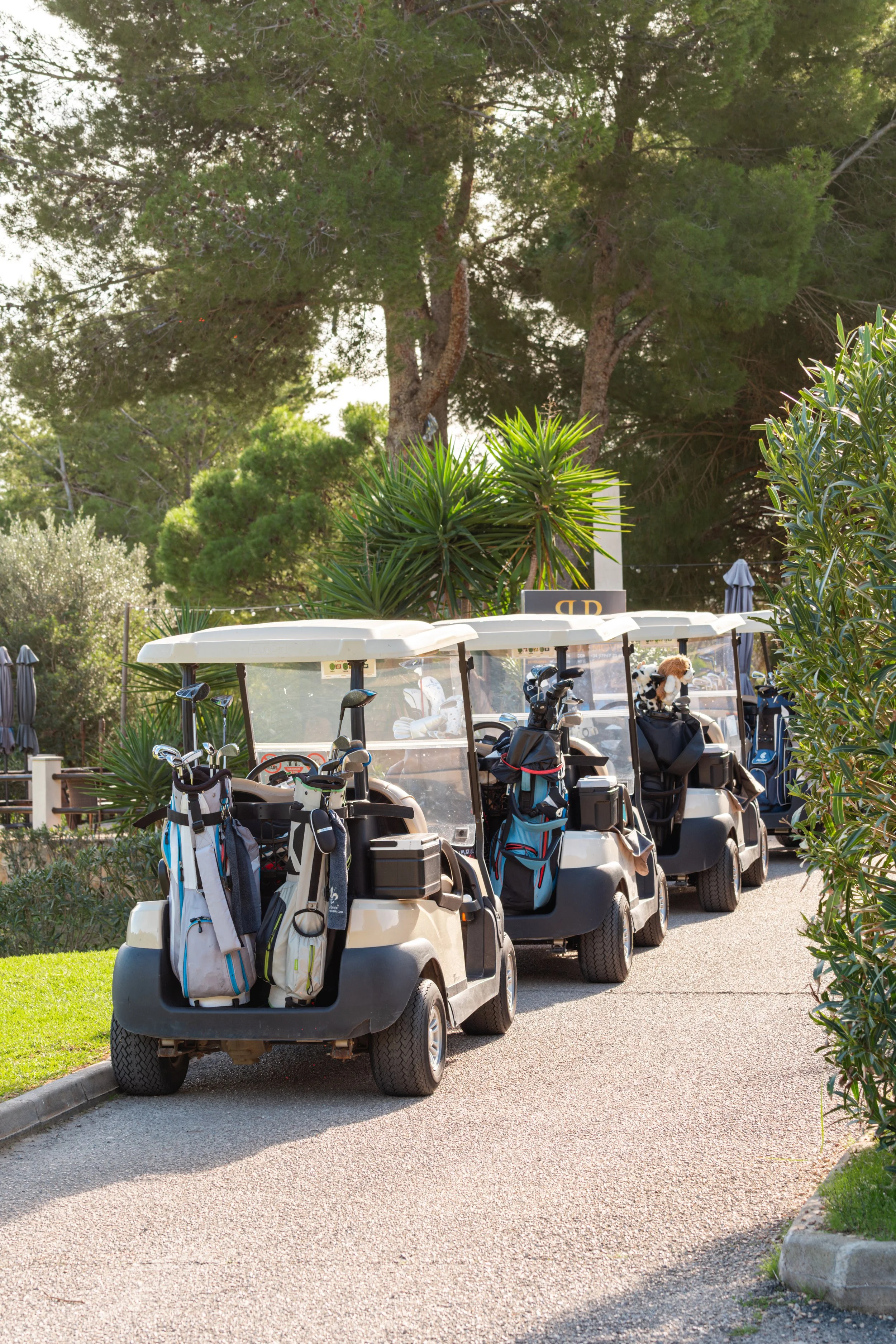Carros de golf con bolsas de golf en un camino junto a áreas verdes y árboles en un campo de golf.