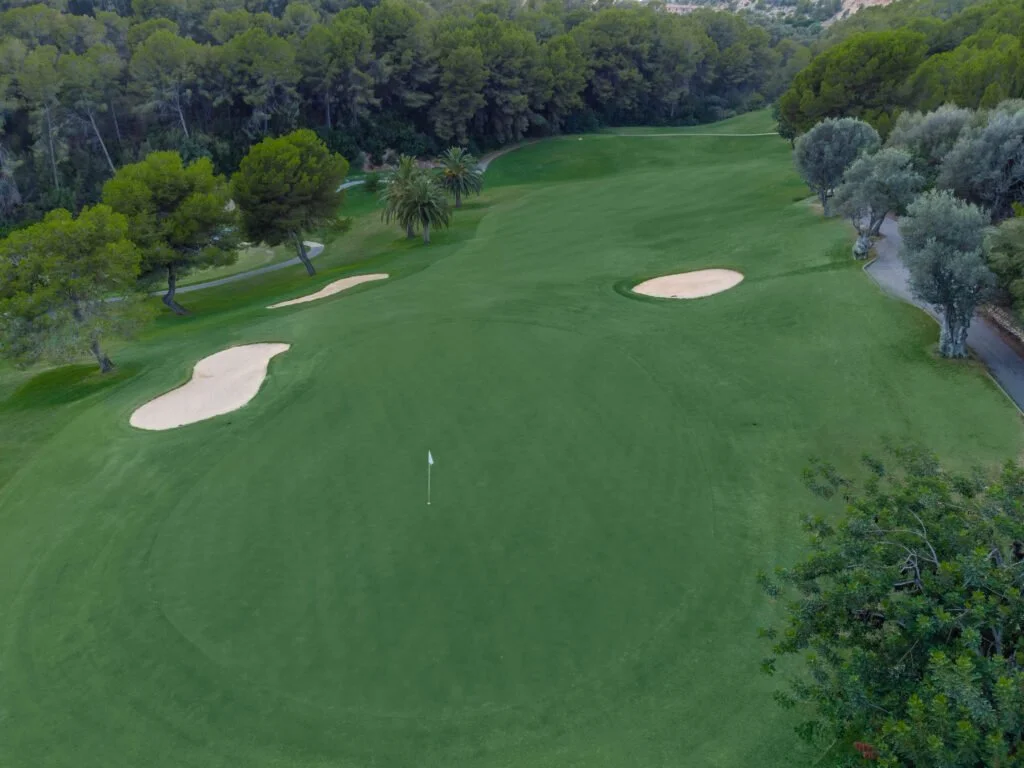 Vista aérea de un campo de golf con hoyos y árboles alrededor