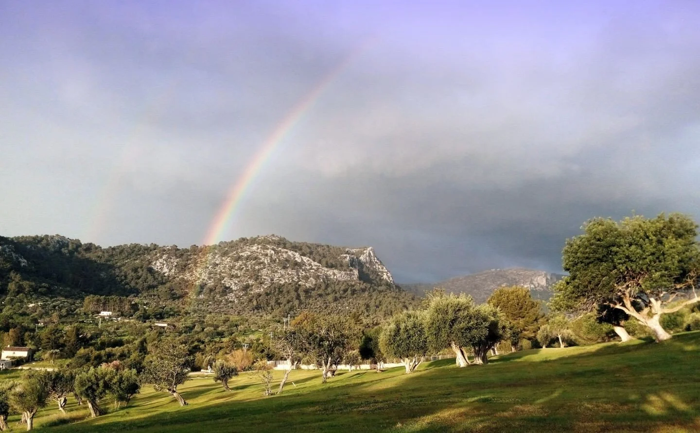 Paisaje con arcoíris sobre montañas y árboles en un campo verde, cielo nublado.