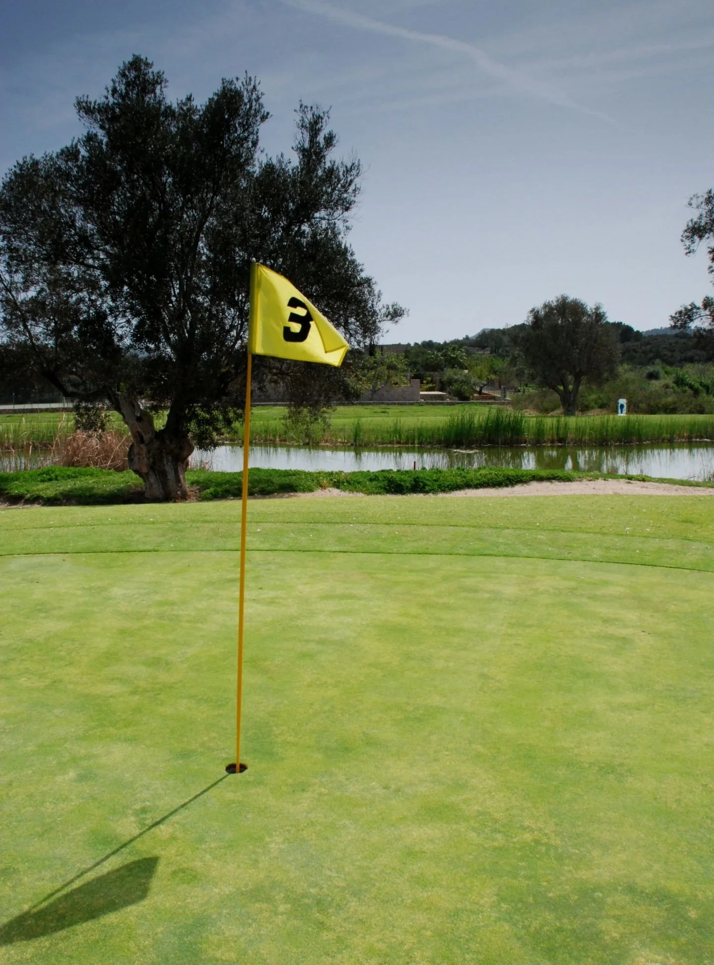 Clausura de golf en un campo con bandera amarilla, árboles y paisaje natural de fondo.
