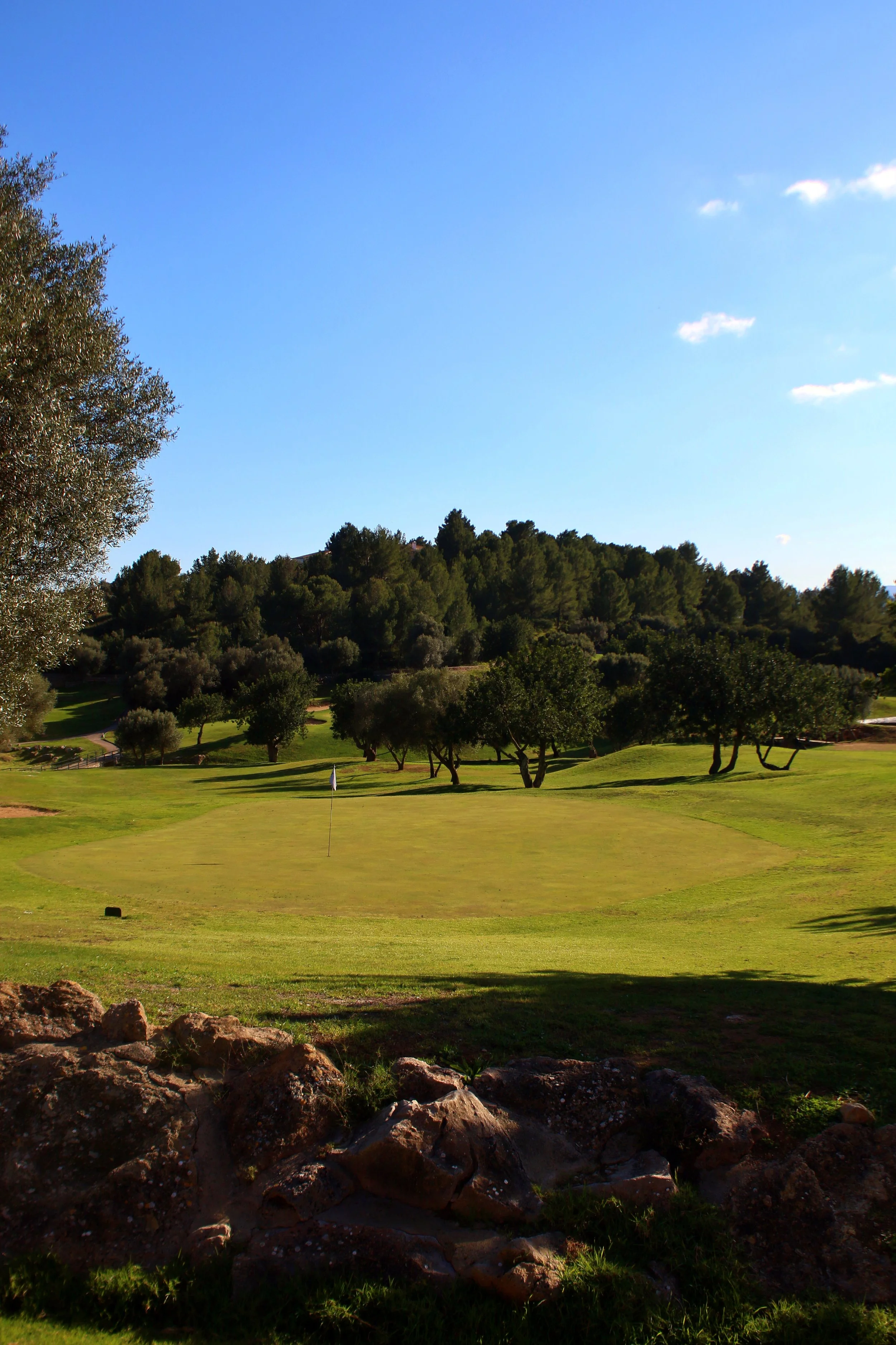 Campo de golf con green, árboles y colina al fondo durante un día soleado.
