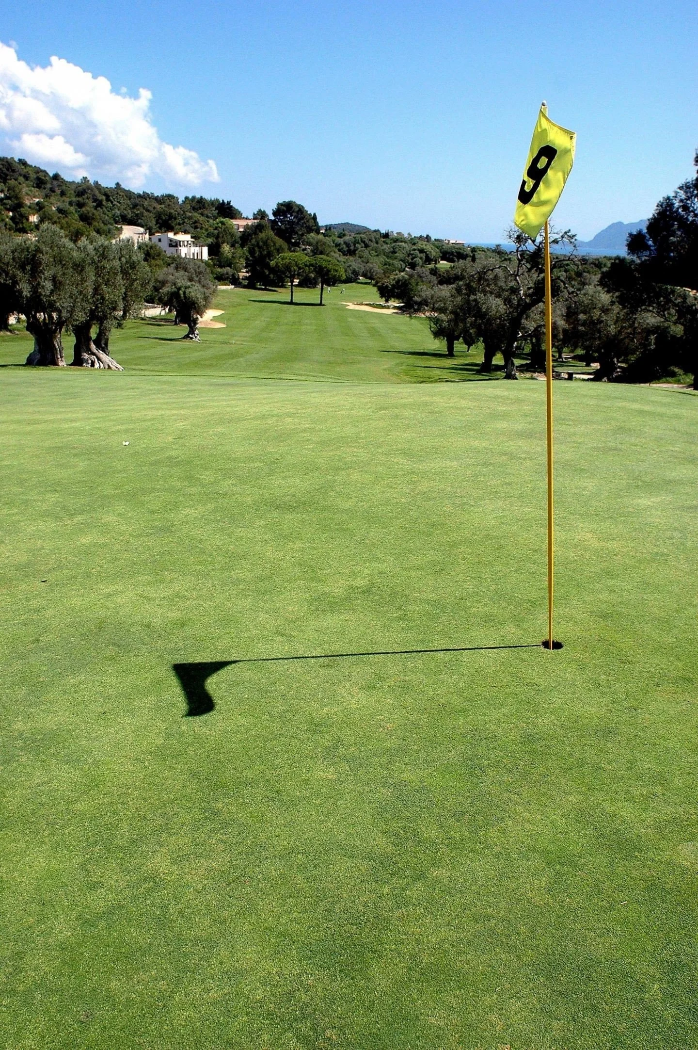 Vista de un campo de golf con bandera con el número 9, césped bien cuidado, árboles en los lados y montañas en el fondo.