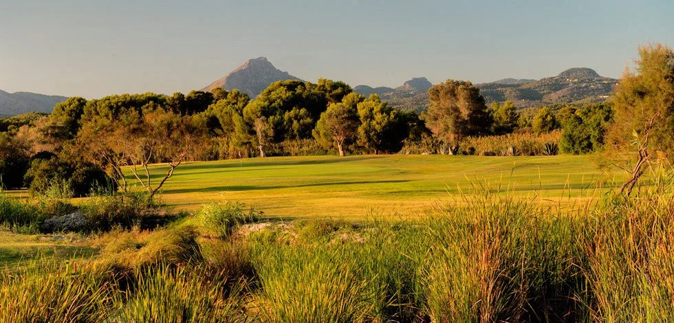 Campo de golf con árboles y montañas al fondo bajo un cielo despejado