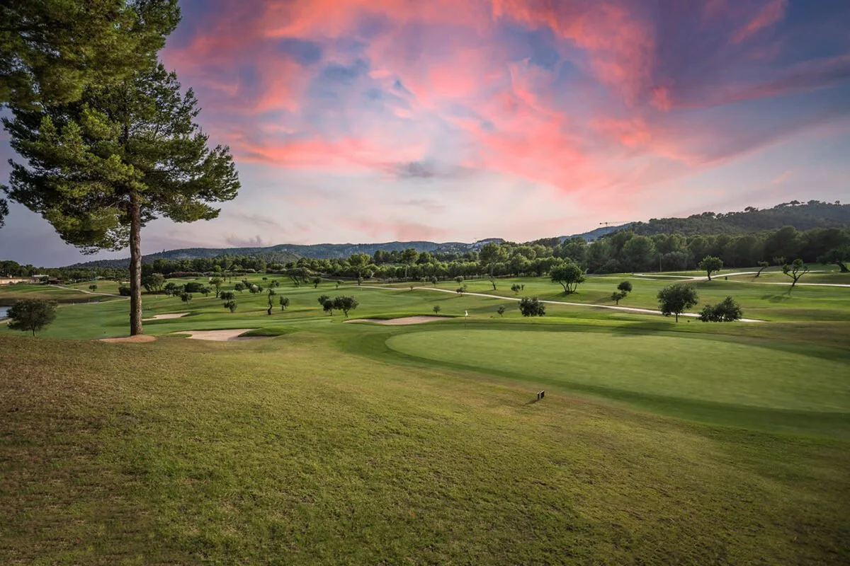 Campo de golf con césped cuidado, árboles dispersos y un cielo con nubes y atardecer rosado.