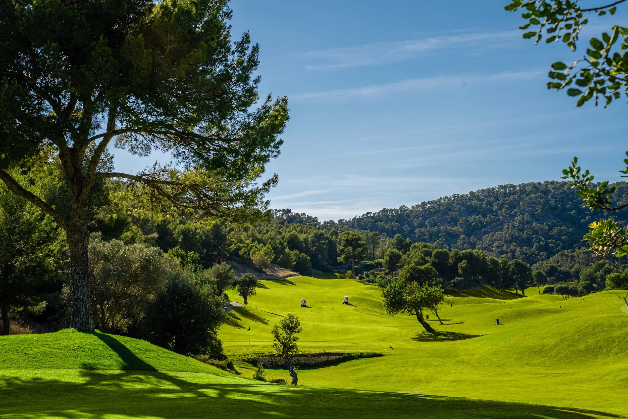 Vista de un campo de golf rodeado de árboles, con carros de golf en el fondo y colinas en el horizonte en un día soleado.