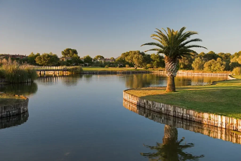 Vista de un lago con árboles y palmeras al atardecer, en un entorno natural y tranquilo.