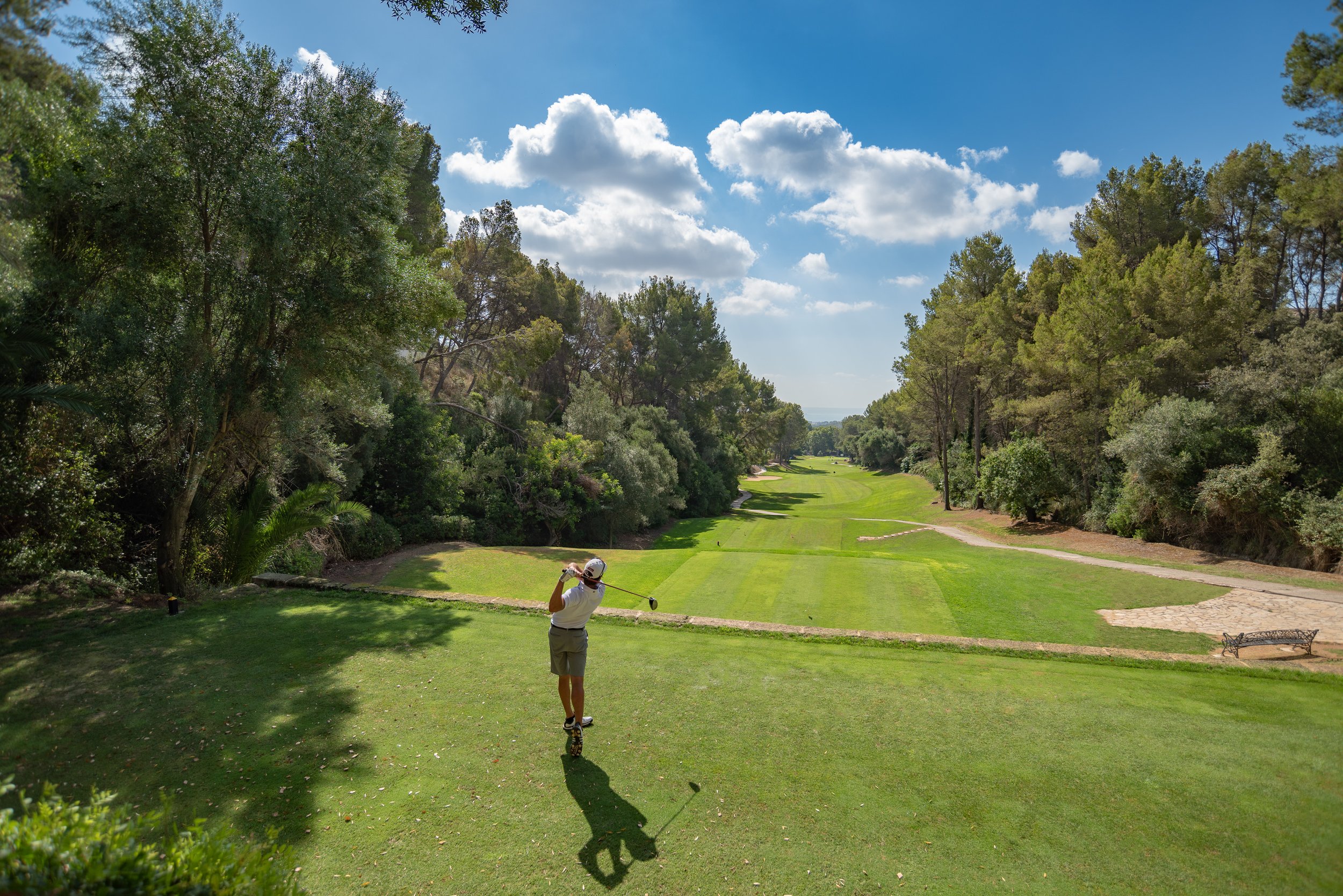 Hombre jugando golf en un campo rodeado de árboles, con cielo despejado y nubes.