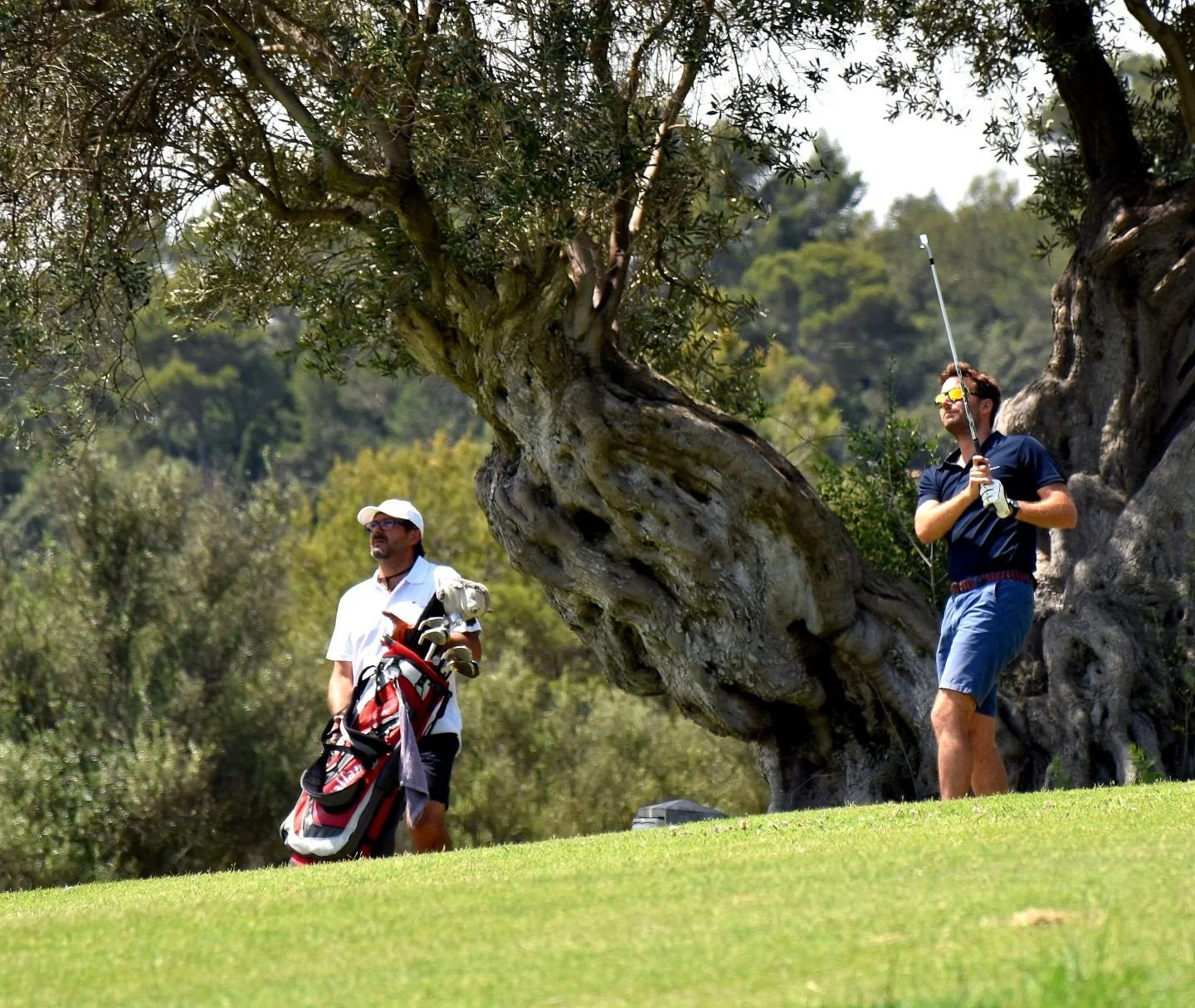 Dos hombres jugando golf en un campo con árboles grandes y vegetación.