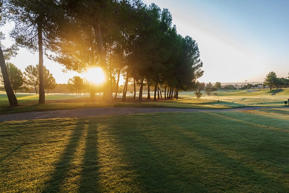 Paisaje de un campo de golf con árboles y césped, con el sol poniéndose o saliendo en el horizonte y proyectando sombras largas en el pasto.