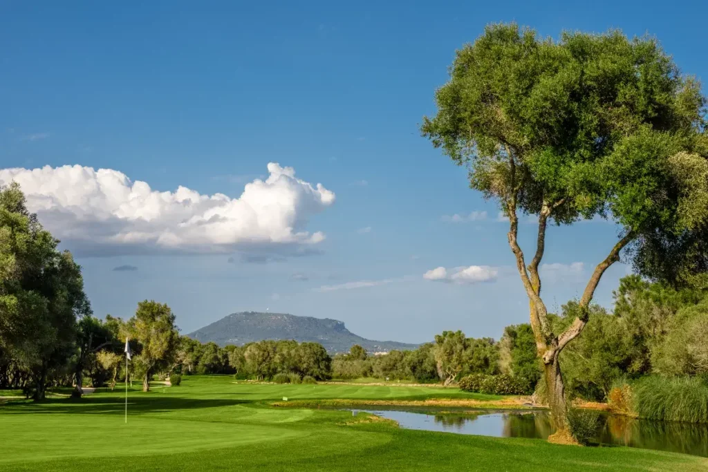 Un campo de golf con césped bien cuidado, un árbol grande y un pequeño cuerpo de agua, con montañas y cielo con nubes en el fondo.