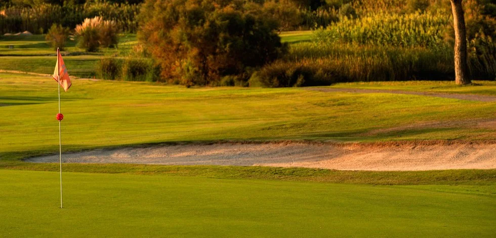 campo de golf con bandera en el hoyo, alrededor de césped y árboles en el fondo, en un atardecer