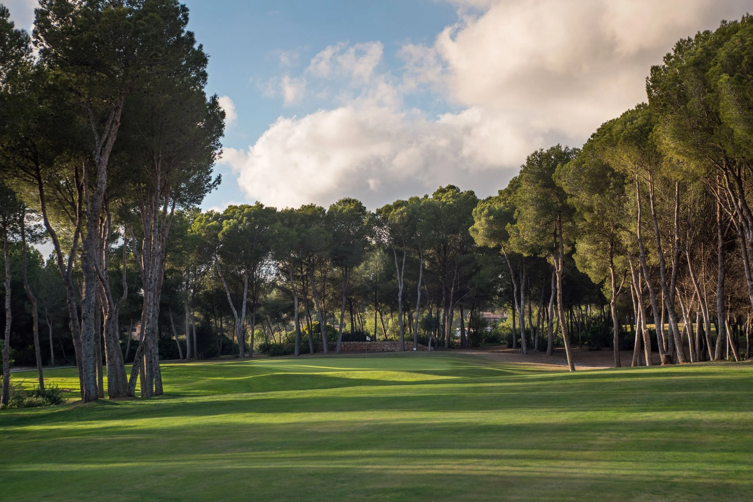 Campo de golf con árboles altos y un cielo con nubes.