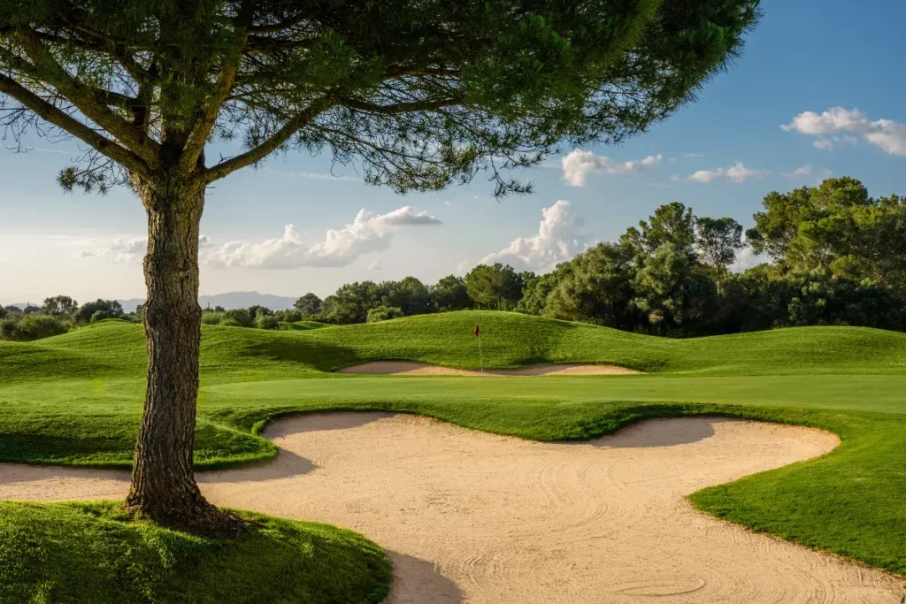 Vista de un campo de golf con césped verde, un árbol grande al frente, y dos búnkers de arena en primer plano. En el fondo, un banderín en un hoyo y árboles rodean el terreno, en un día soleado con algunas nubes.