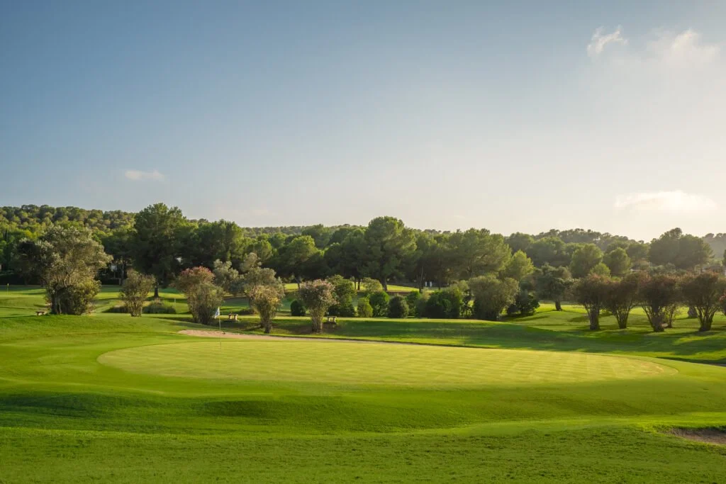 Campo de golf con césped bien cuidado, árboles y colinas en el fondo, cielo despejado con sol brillante.