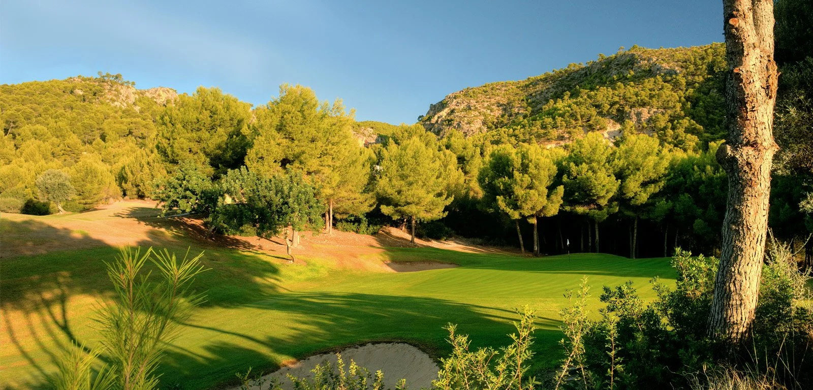 campo de golf rodeado de árboles y montañas bajo cielo despejado