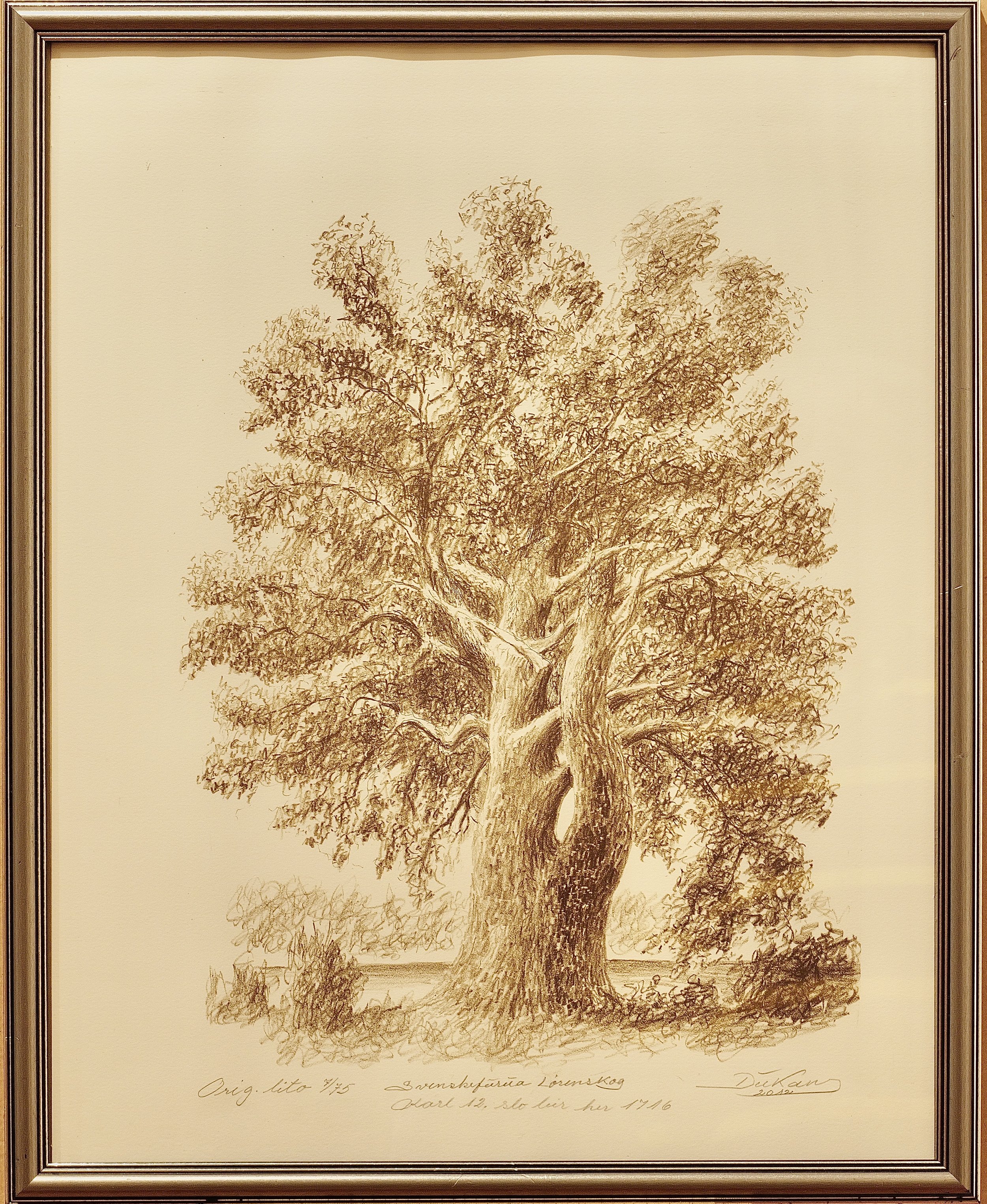 Jørgen Dukas Svenske Furia 53x43.jpeg