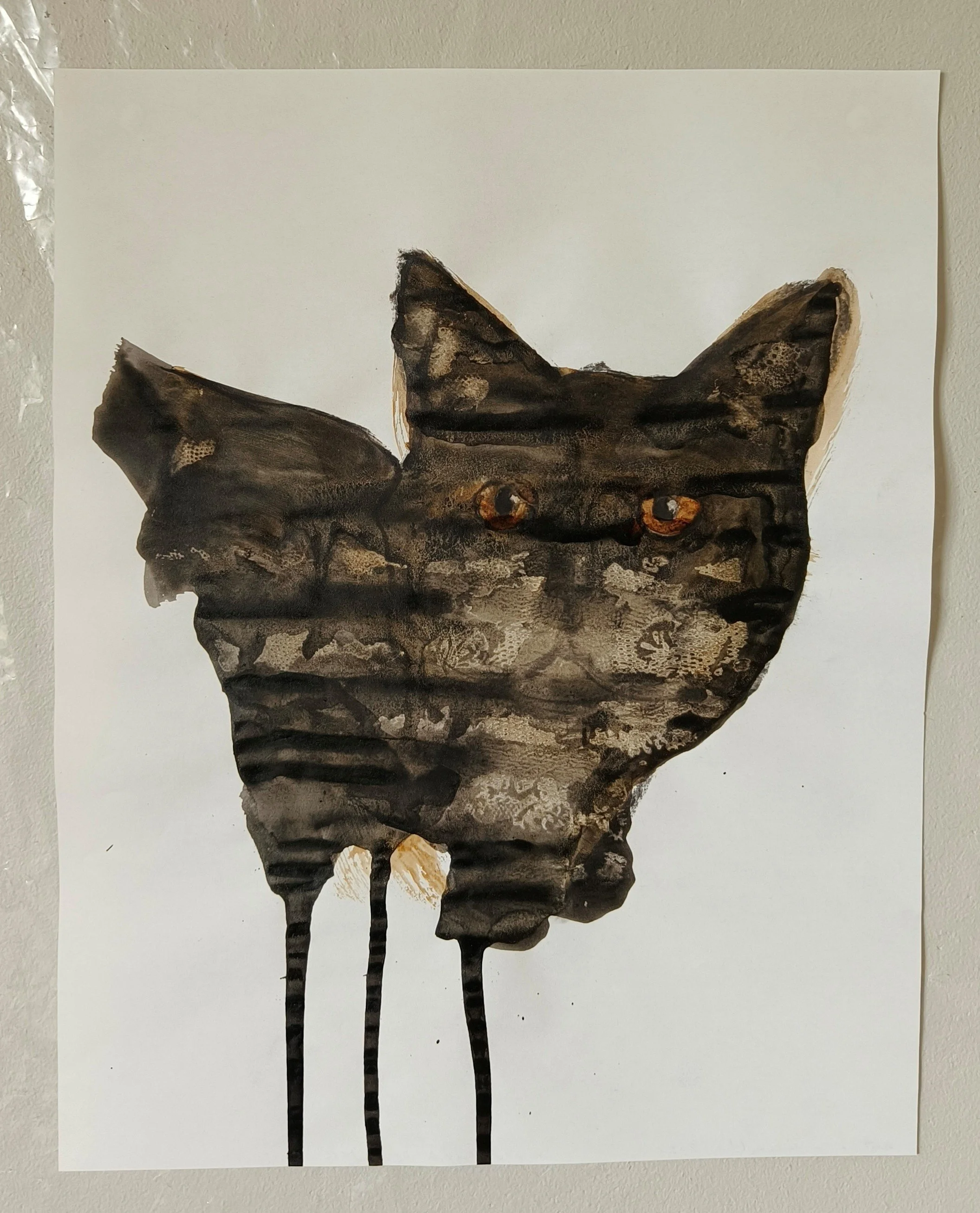 Black Cat.jpg