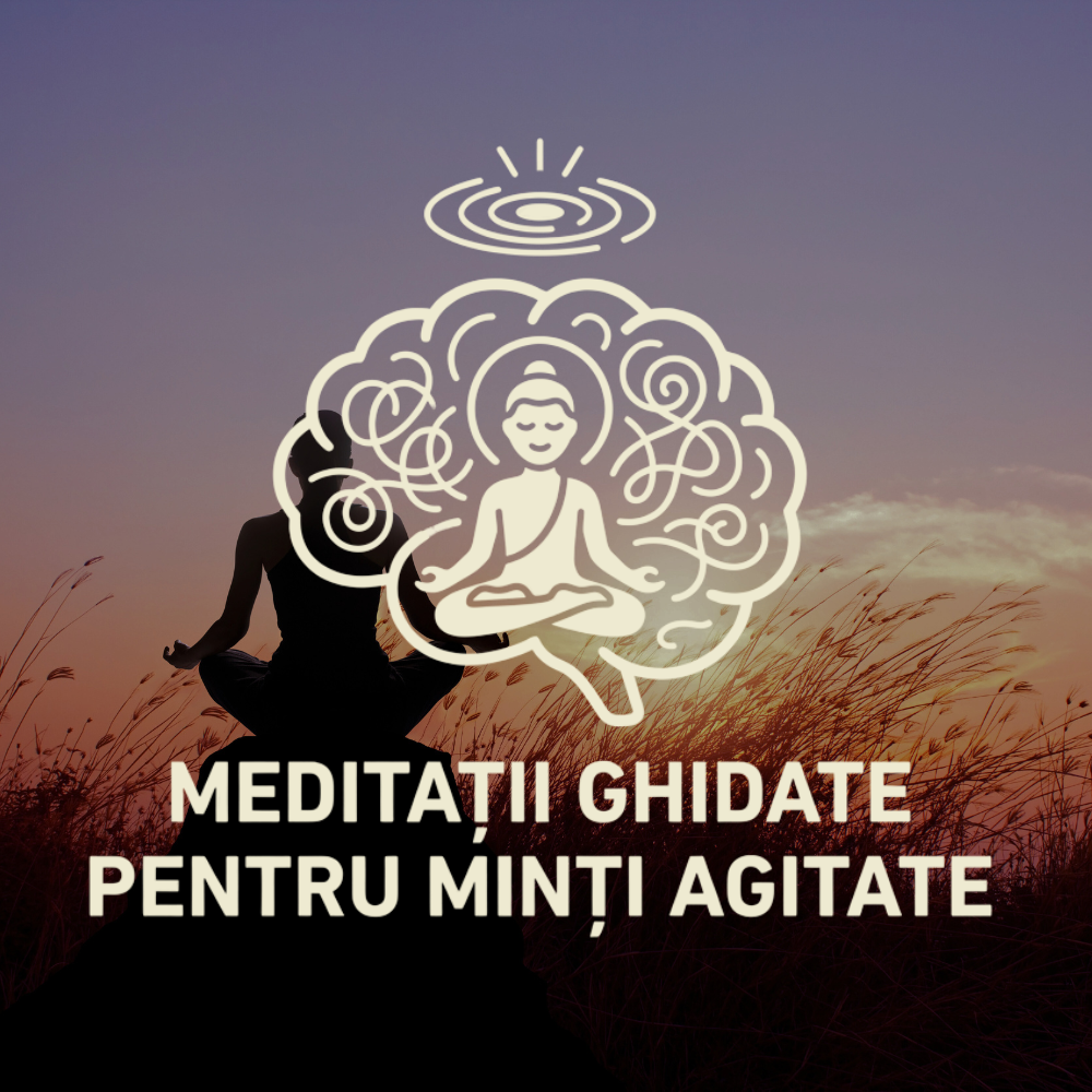 Descoperă programul