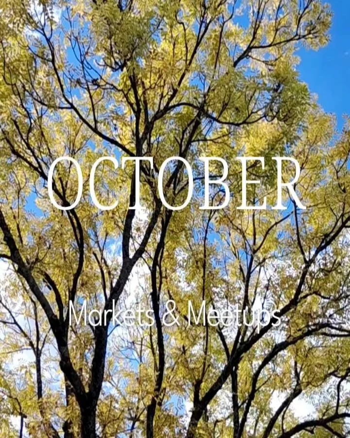Light is changing and so are the colours, autumn is here 🍁🍂.

This month I will be in between markets, meetups and setting up my new tea atelier at @veld_kers . As it shapes up, I will try to capture some moments and progress, but no promises 😊.

