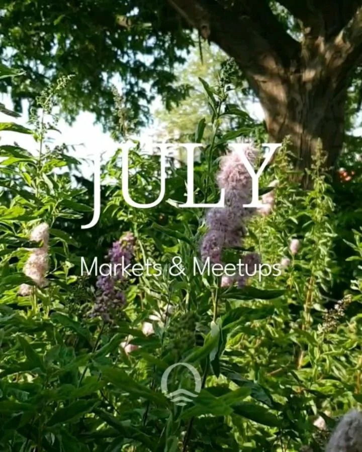 Hello July and tot ziens half of 2026 👋🌿. 

This month I am only doing one market followed by a tea meet up. 

18 July: @rotterdamseoogst market on Saturday from 10am  until 5pm.  There will be a new flavour of iced black tea (any guesses?), your f
